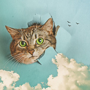 污视频在线网站
