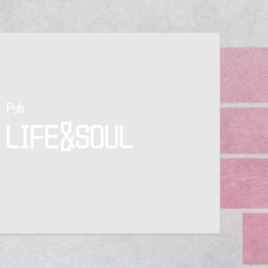 污视频在线网站
